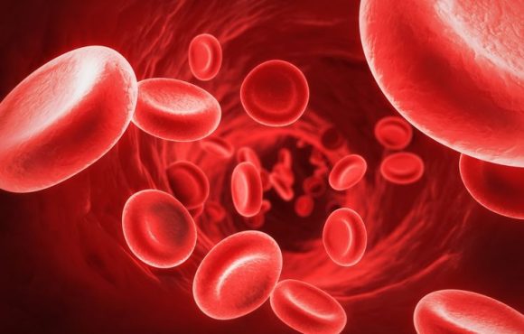 How To Purify Your Blood (Natural Tips) - YouTube
